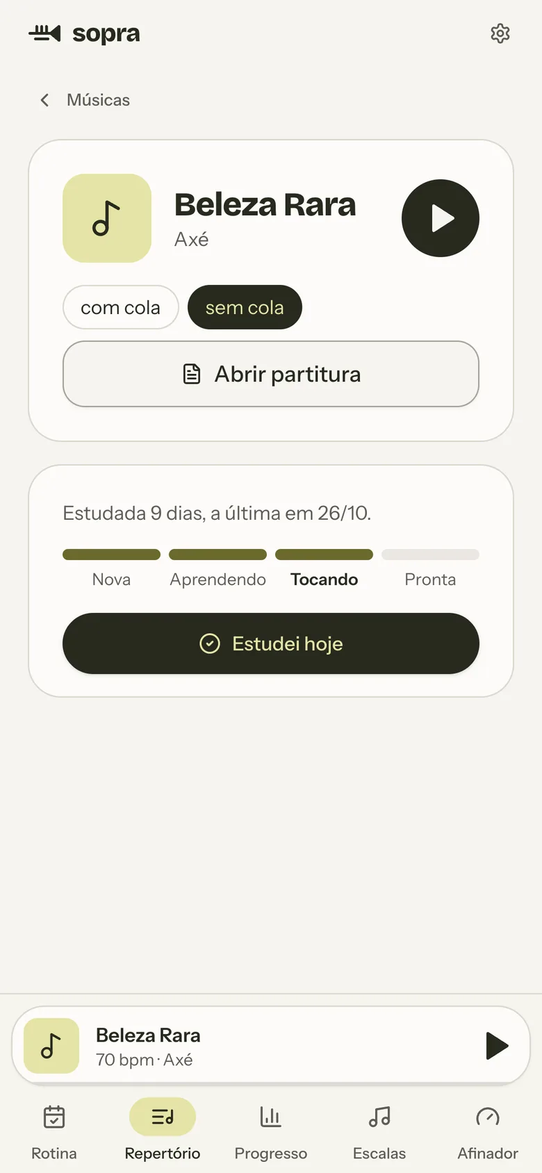 Tela de uma música com o player